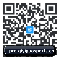 系统版 iOS 二维码